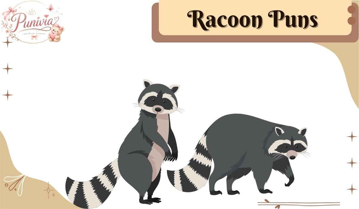 Racoon Puns