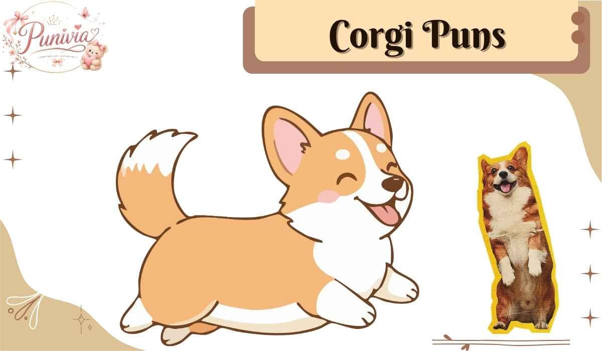 Corgi Puns