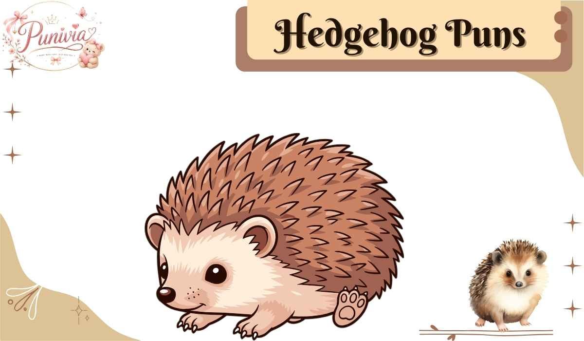 Hedgehog Puns