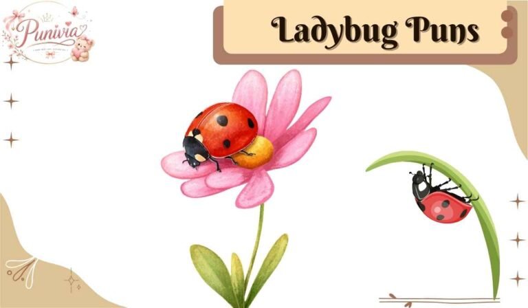 Ladybug Puns