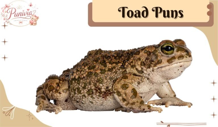 Toad Puns